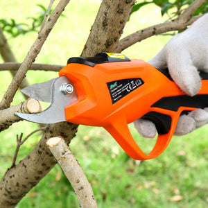 Transform Your Gardening with Our Branch Scissors