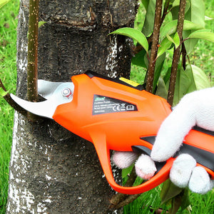 Experience Effortless Pruning with Our Branch Scissors