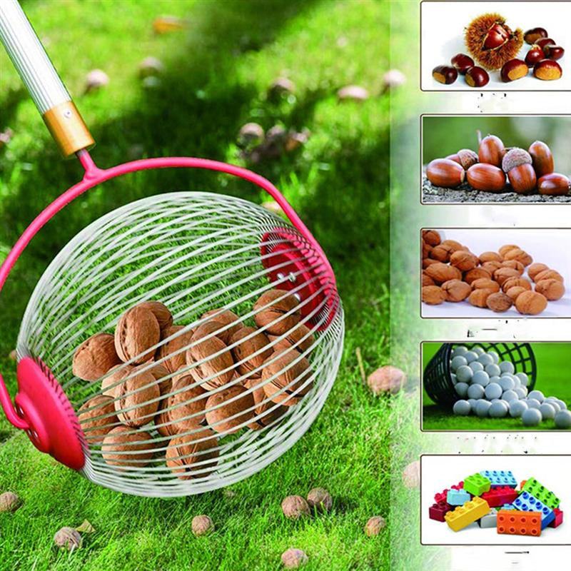 The Ultimate Nut Collector: Garden Tools for Walnuts and Chestnuts