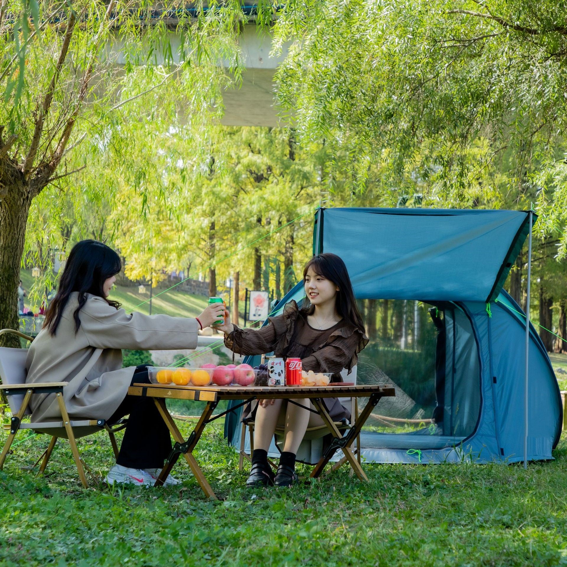 Single Layer Automatic Speed Open Tent