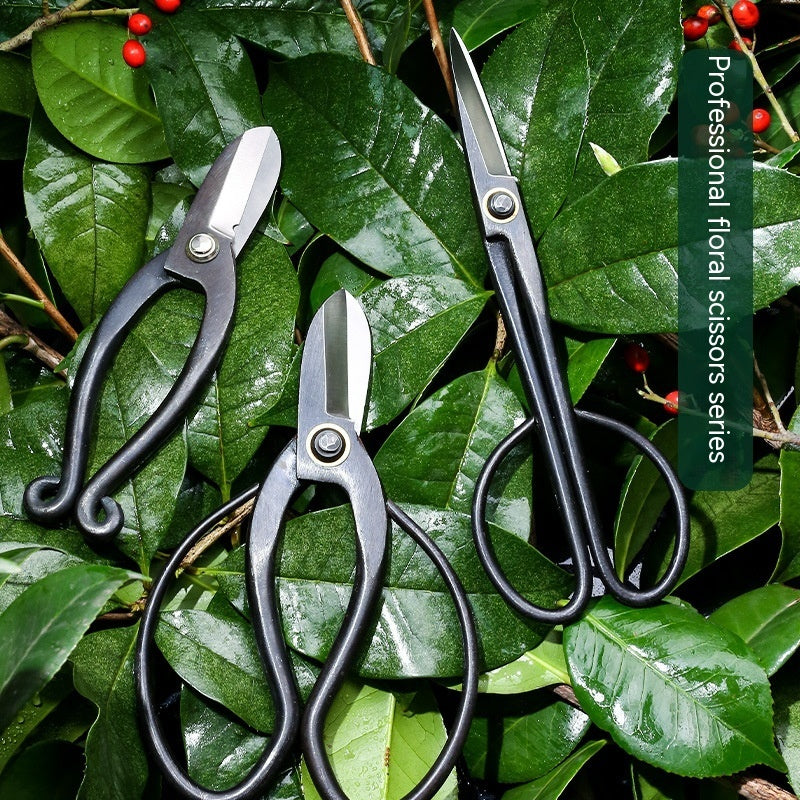 Professional Floral Scissors Gardening Tools